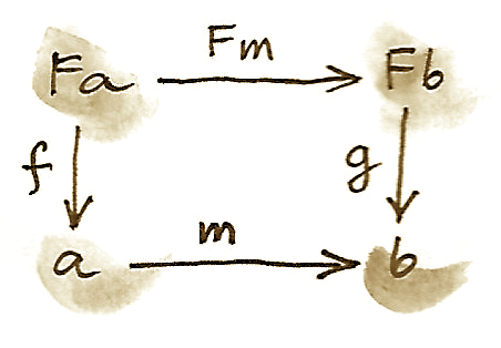 F-代数同态交换方块