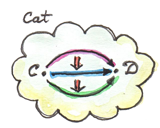 作为 2-范畴的 Cat